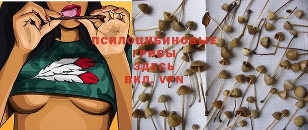 каннабис Белокуриха