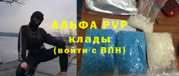каннабис Белокуриха